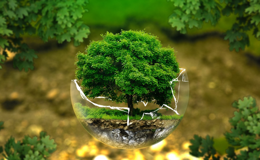 生態(tài)環(huán)境治理